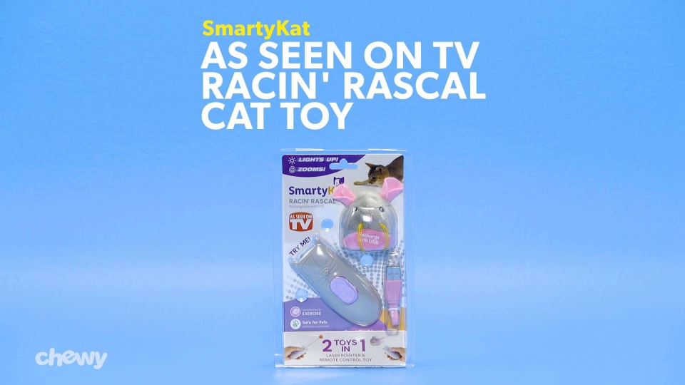 smartykat racin rascal