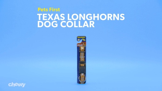 Play Video: Learn More About Pets First From Our Team of Experts