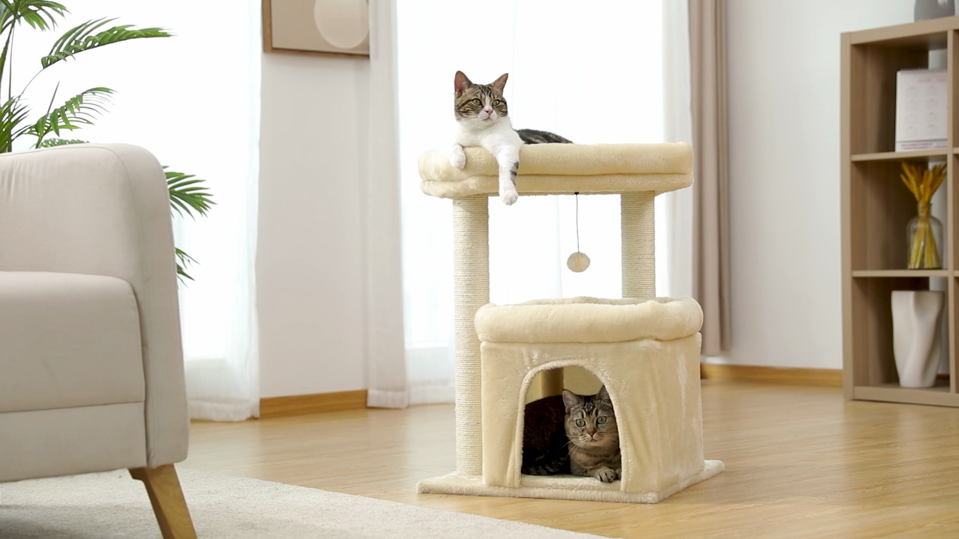 PAWZ ROAD 26.8-in Polyester Cat Tree Tower & Condo, Large Perch