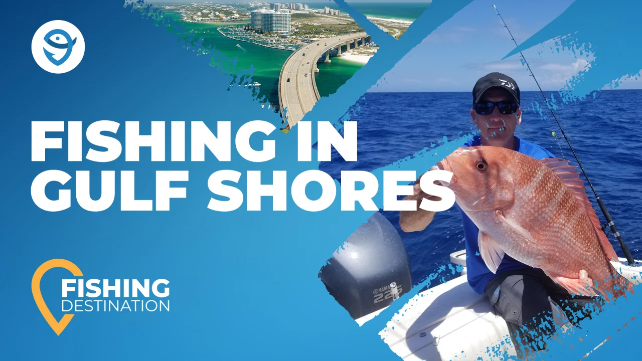 Fishing in GULF SHORES: The Complete Guide