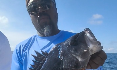 Virginia Beach Report Video 0