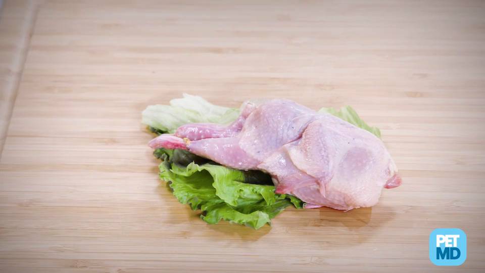 can dogs eat quail eggs