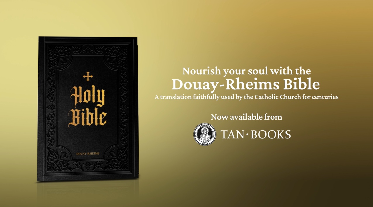 Douay-Rheims Bible Large Print Edition