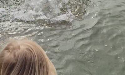 Marco Island Report Video 1