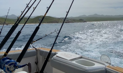 Cabo San Lucas Report Video 1