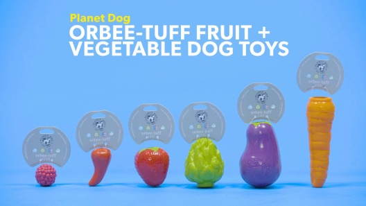Planet Dog Orbee-Tuff Foodies Carrot Treat Dispensing Dog Toy