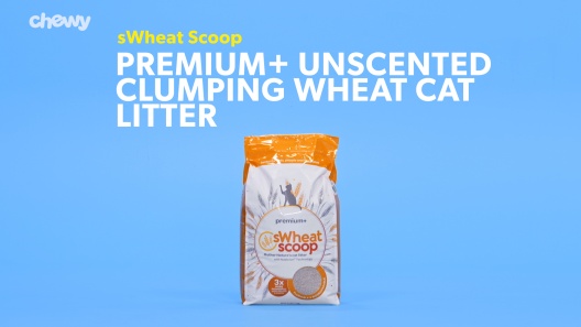 Play Video: Learn More About sWheat Scoop From Our Team of Experts