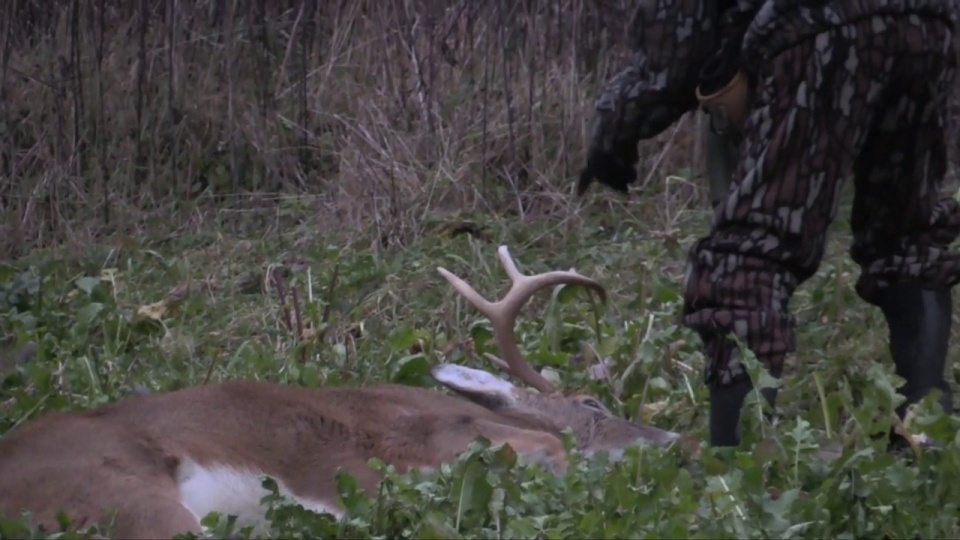 Whitetails By Design TV - Episode 14 - Hunting Late Season Un-pressured Food Plots