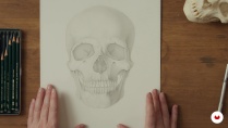 Lesson image