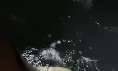 Shark fishing with Captain Alex