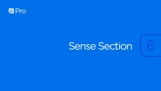 Sense Section