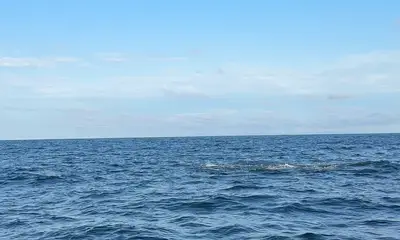 Oceanside Report Video 0