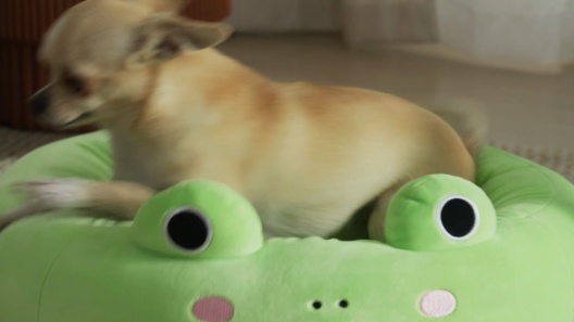 STAR WARS Character Grogu Pet Bed