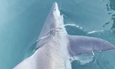 Panama City Beach Report Video 0