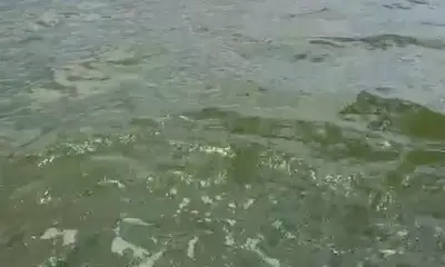 San Juan Report Video 0
