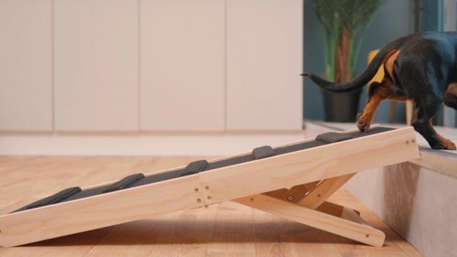 Diy Dog Stairs Dachshund Ramps For Beds Dachshund Ramps