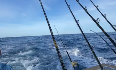 Cabo San Lucas Report Video 2