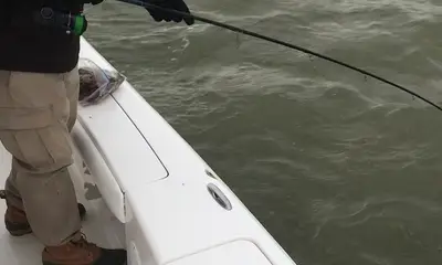 Venice Report Video 0