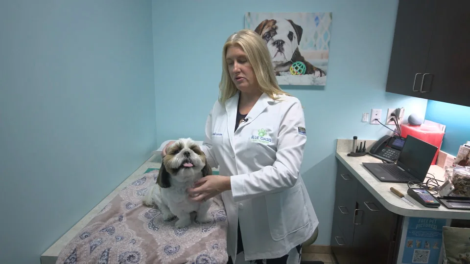 Can I Bathe My Puppy After Deworming