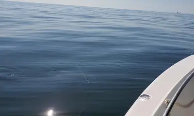 Jacksonville Report Video 1