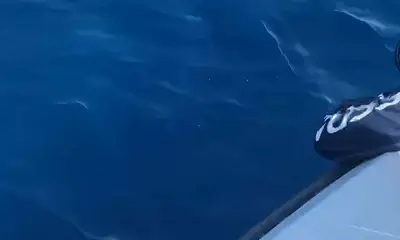 Malé Report Video 1