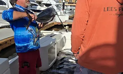 Cabo San Lucas Report Video 0