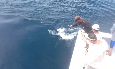 Montauk Report Video 0