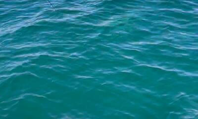 Manasota Key Report Video 0