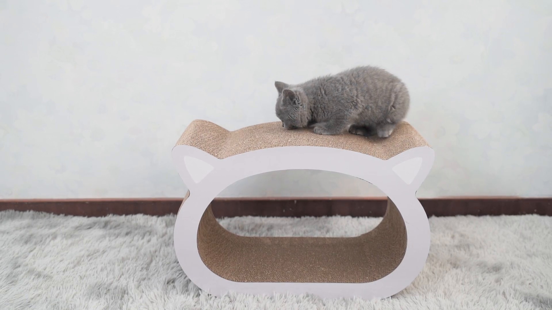 Discontinued - COZIWOW by Jaxpety Cat-Head Shaped Scratcher Board