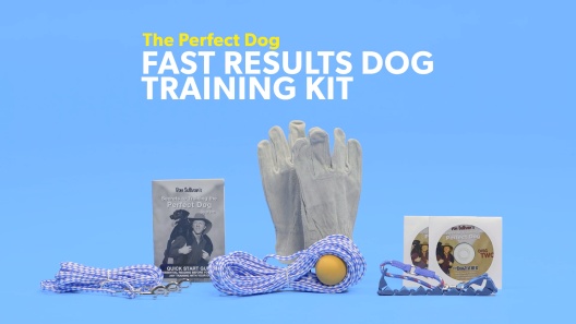 The Perfect Dog Fast Results Dog Training Kit