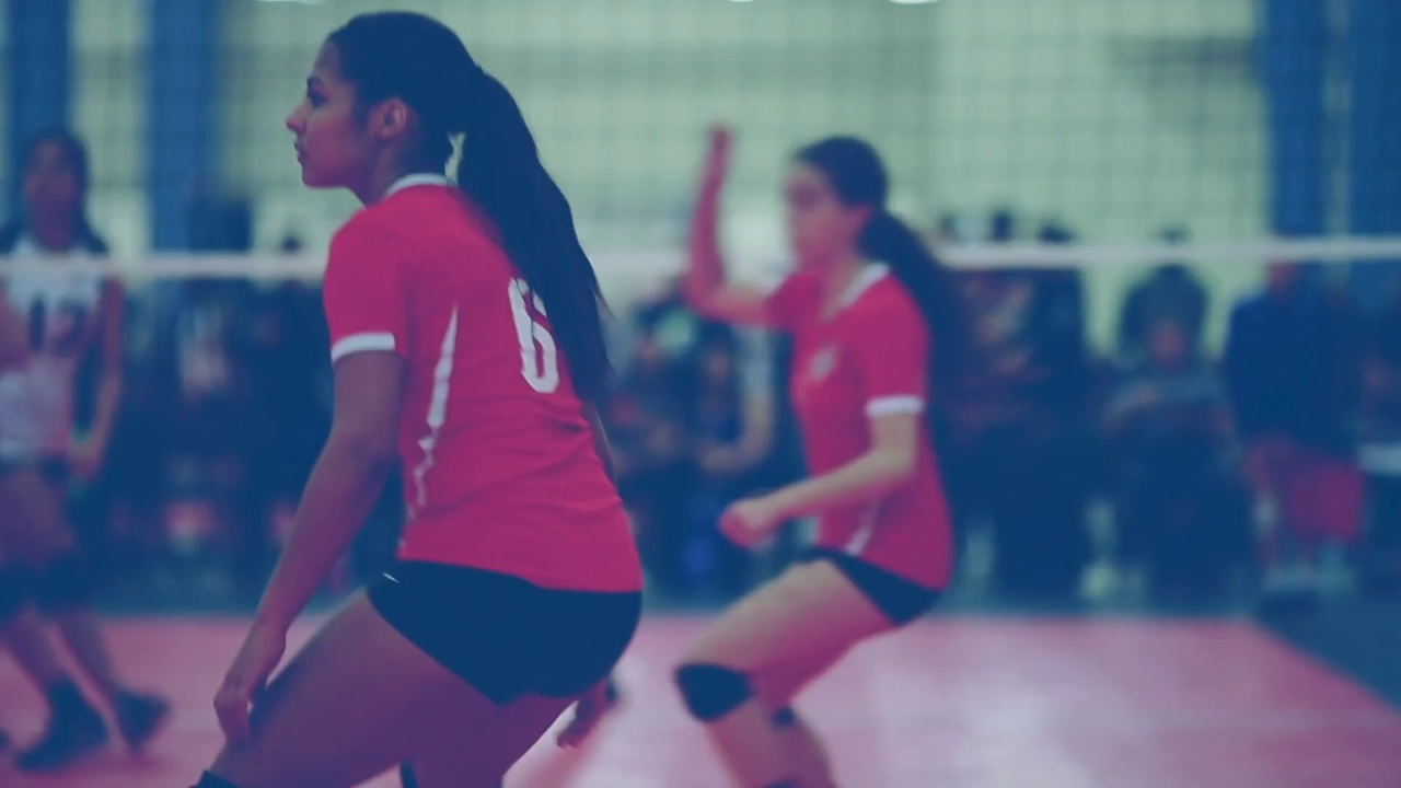 Carolina Regional Volleyball