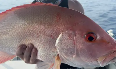 First fish of the trip