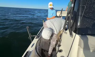 Nick saved the day!