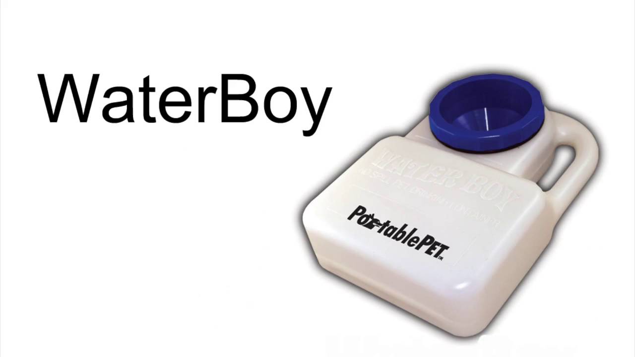 Waterboy dog hot sale dish