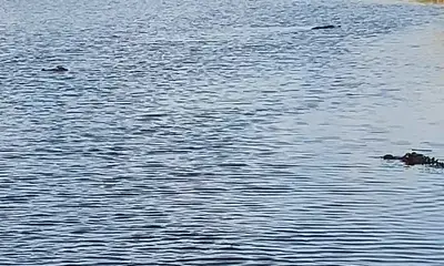 Fort Lauderdale Report Video 0