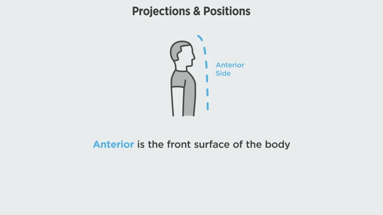 PREVIEW_positions-and-projections.mp4