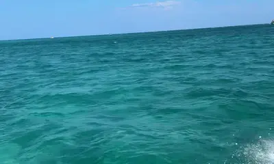 A must try for all visiting Grand Cayman 