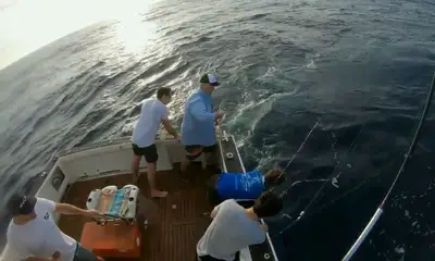 Sydney Bericht Video 0