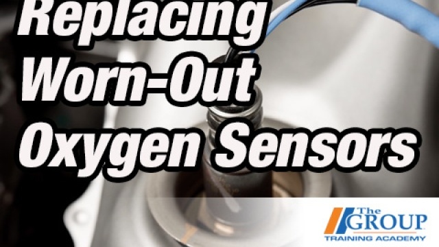CM-0802 Oxygen Sensors
