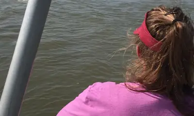 Venice Report Video 0