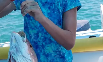 Puerto Peñasco Report Video 0