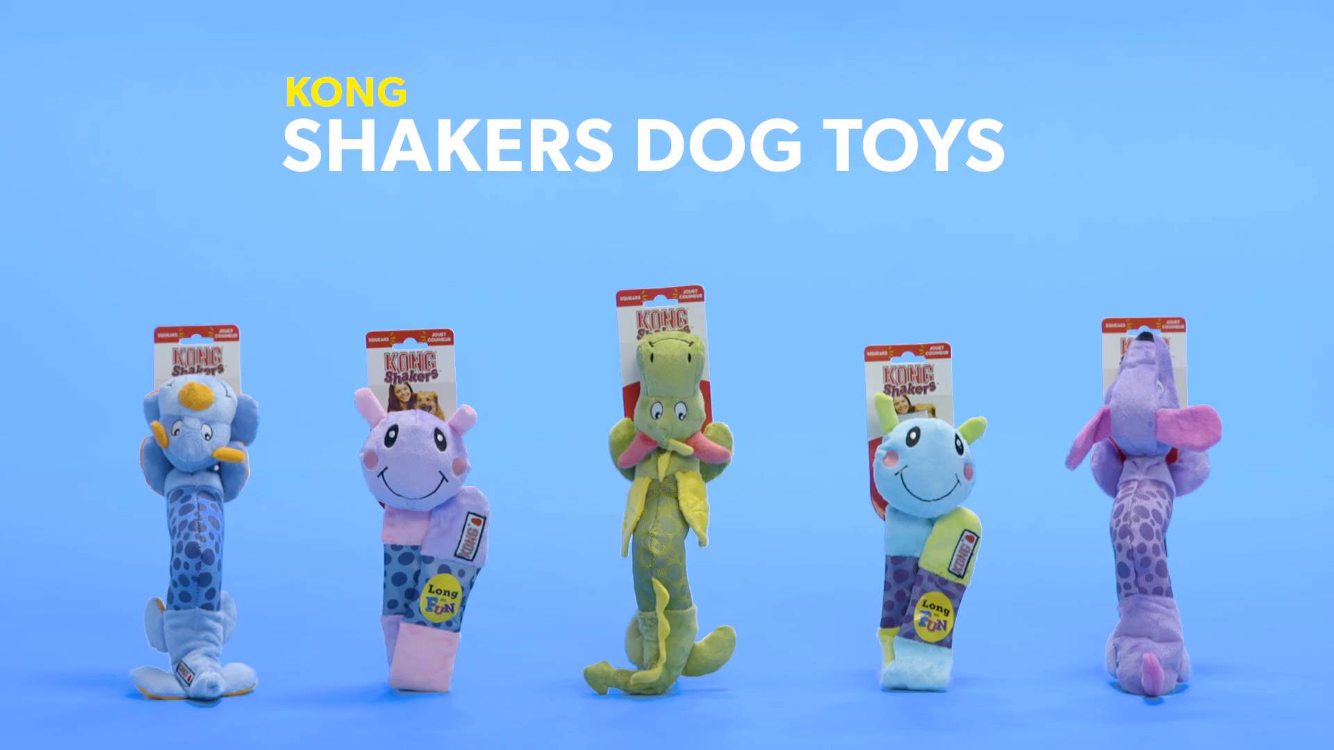 Kong shakers dragon sale