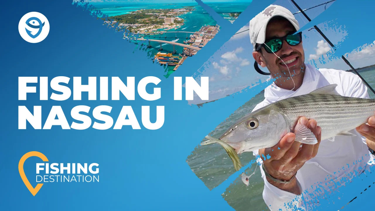 Fishing in BAHAMAS: The Complete Guide