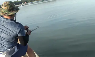 Bangkok Report Video 0