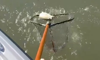 Exceeded expectations