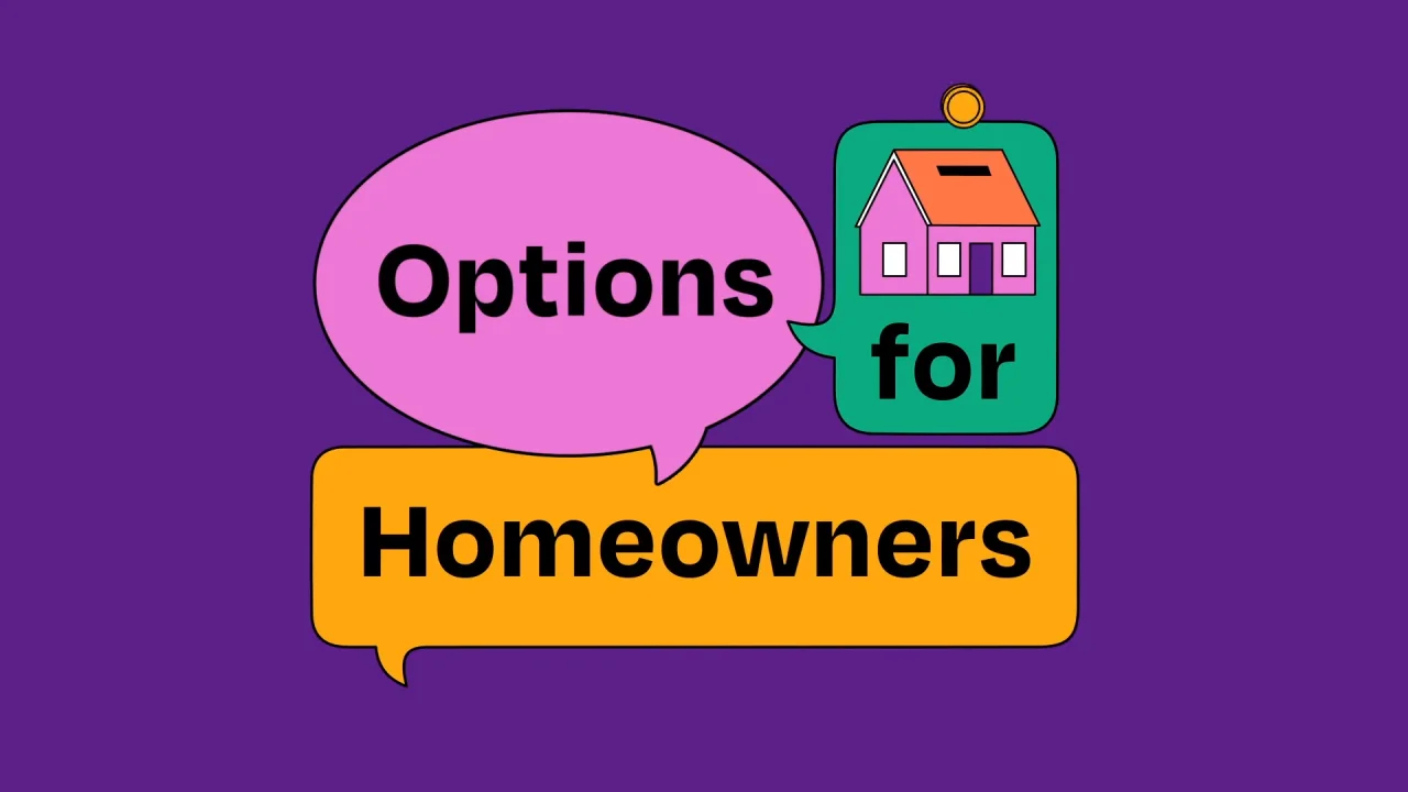 3 pop up boxes with text saying 'options for homnowners' and a house inside one of the boxes. 