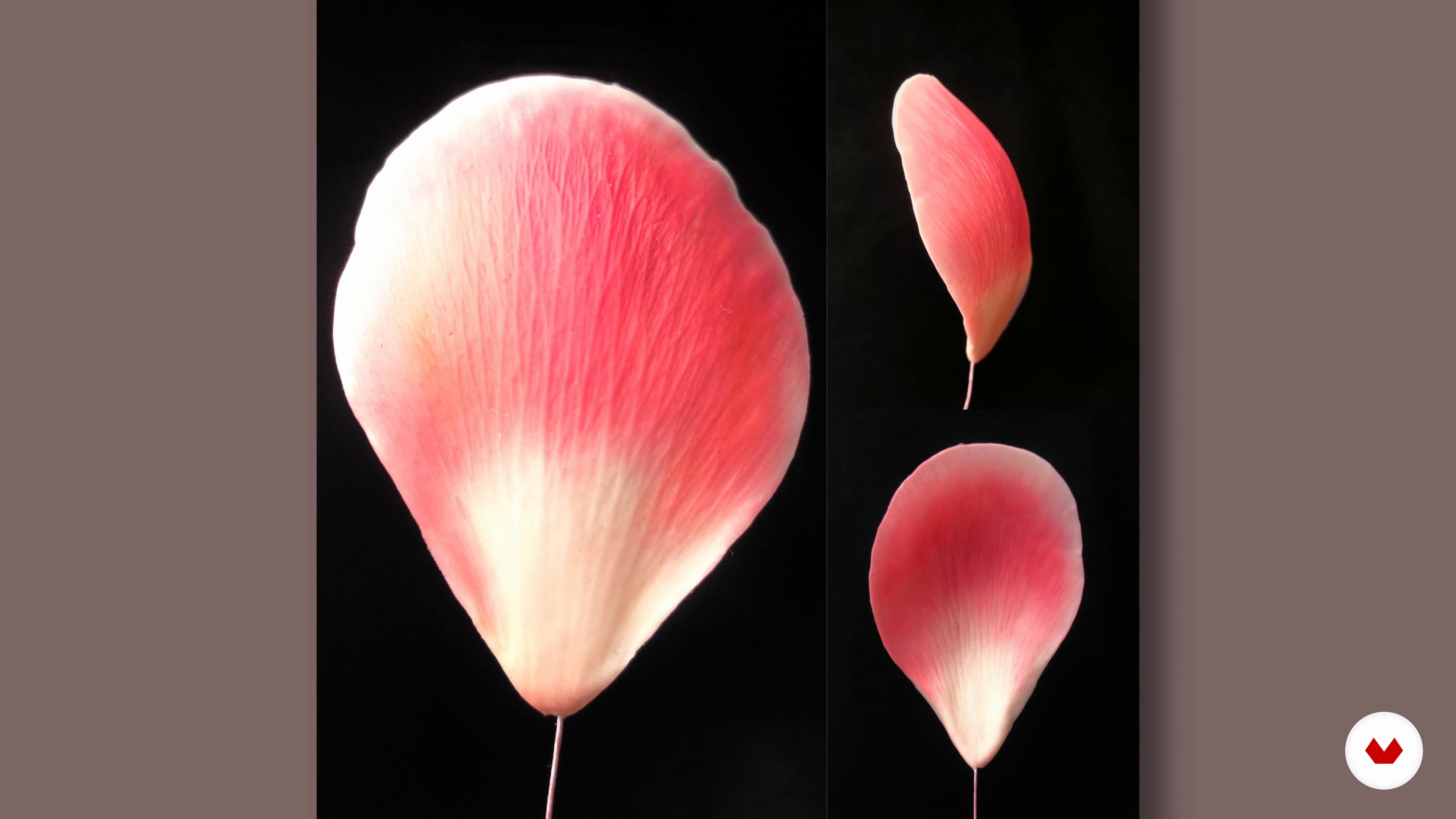 Colouring the Flower