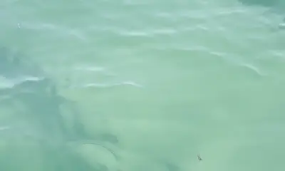 Half day well spent!!!