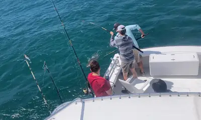 Nags Head Report Video 0