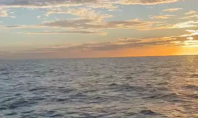 San Jose del Cabo Report Video 0